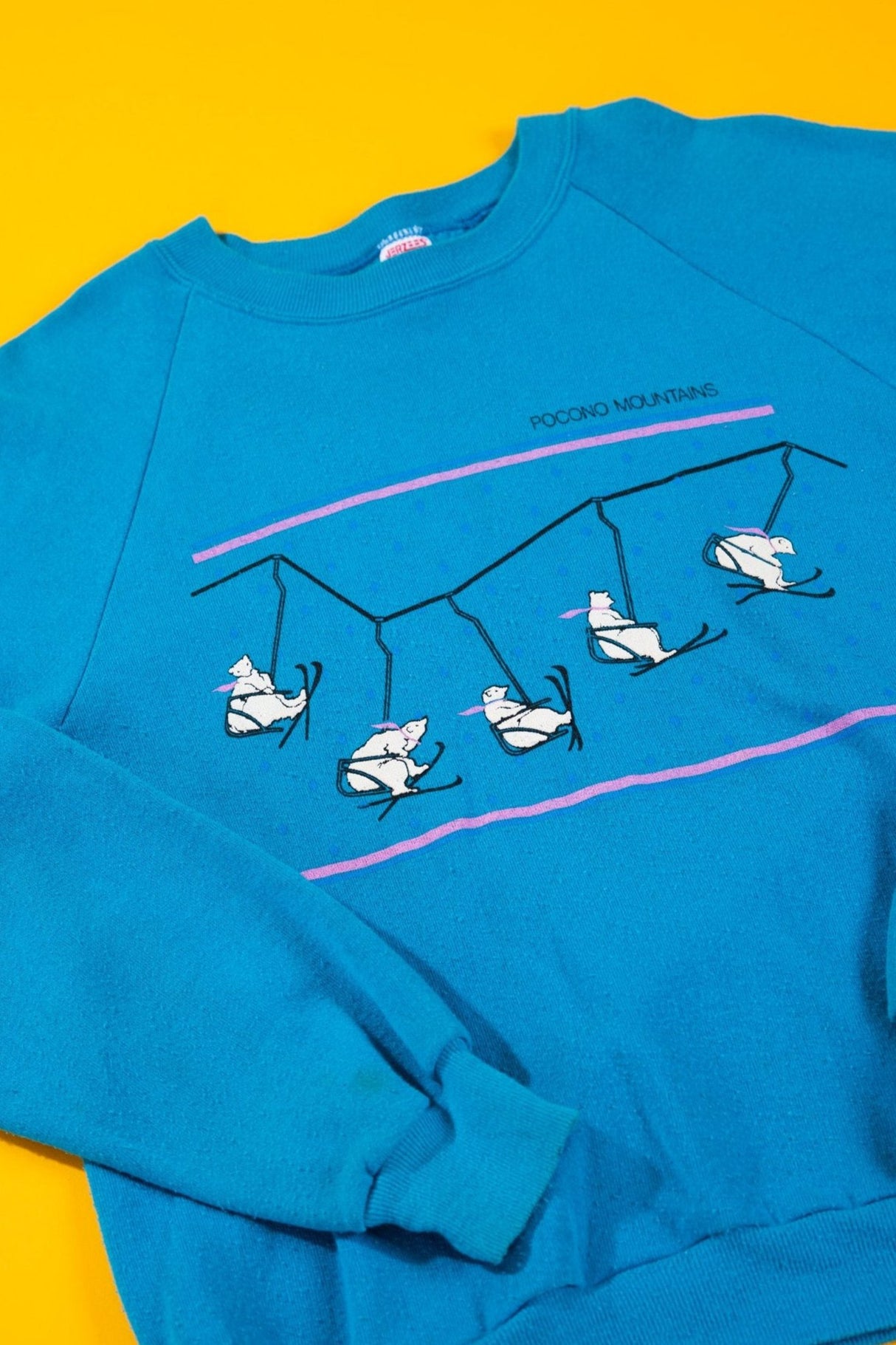 Vintage 80s Pocono Mountain Ski Bears Crewneck