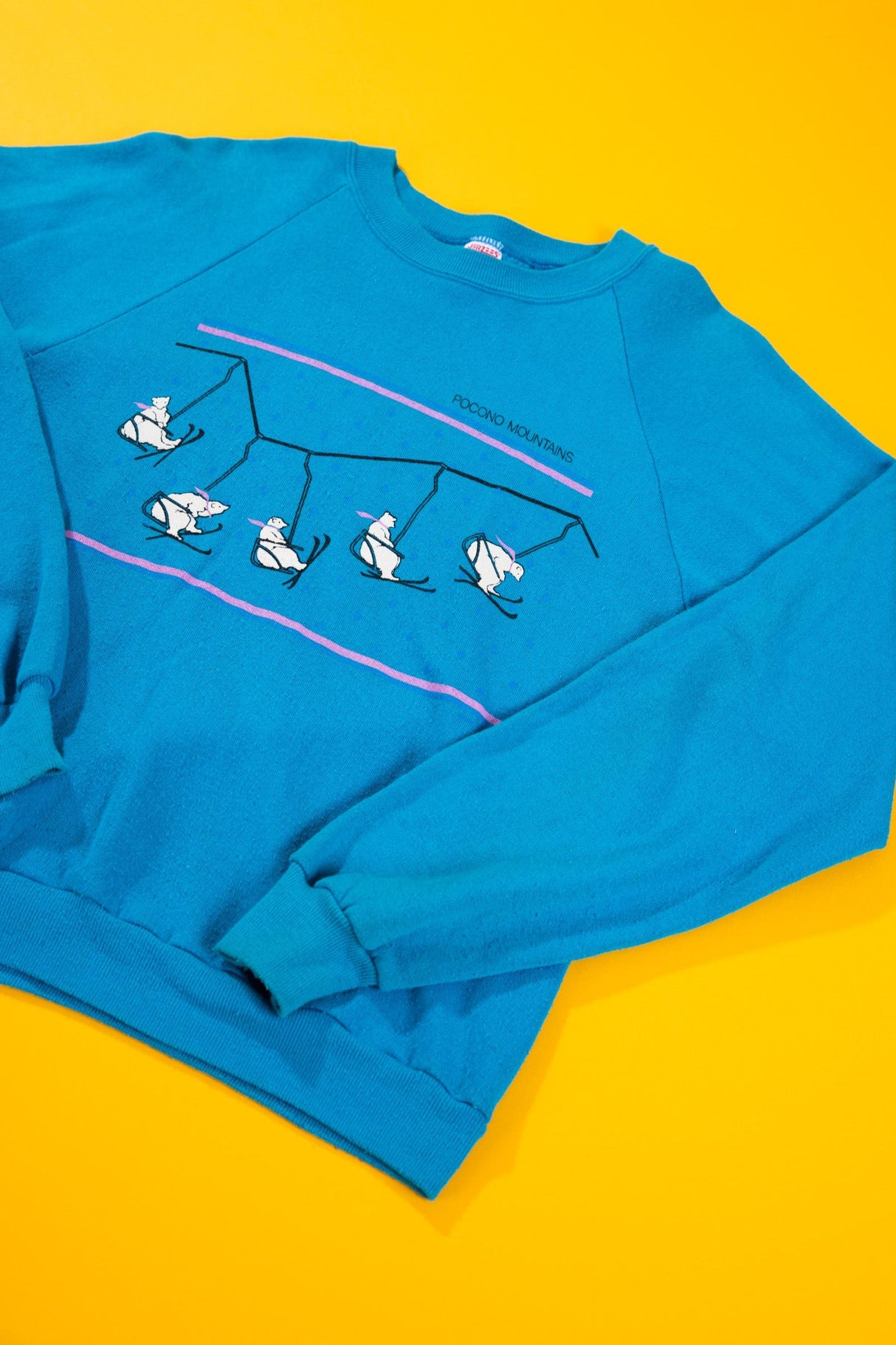 Vintage 80s Pocono Mountain Ski Bears Crewneck