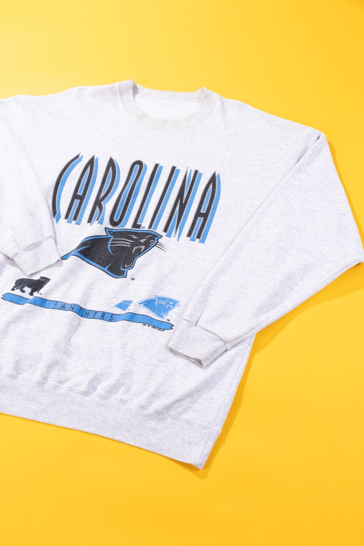 Vintage 1993 Carolina Panthers Crewneck