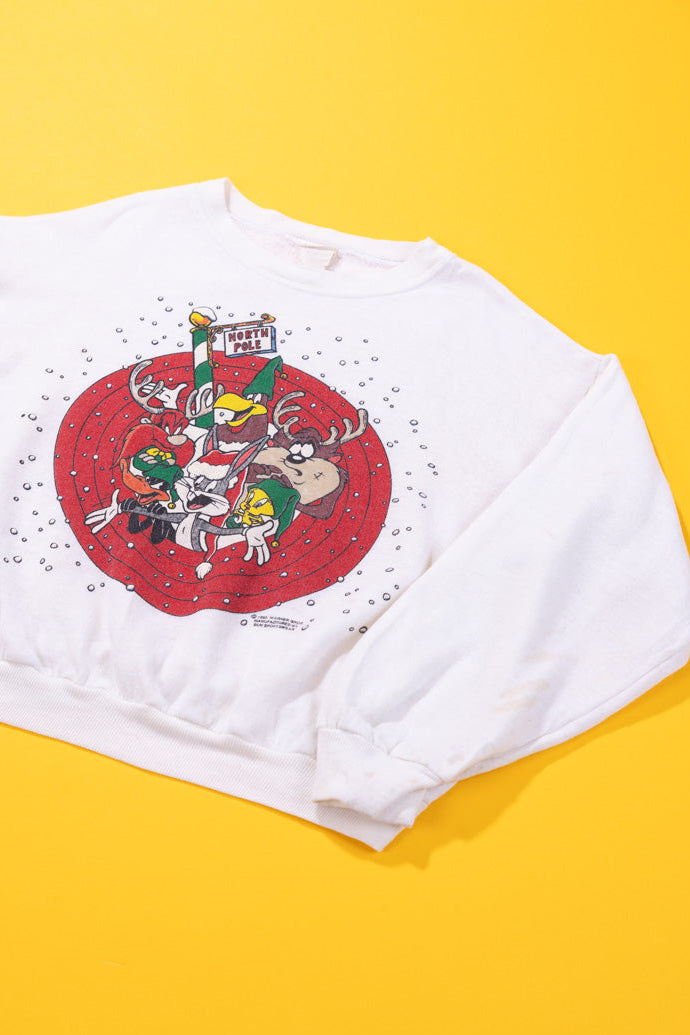 Vintage 1993 Looney Tunes Christmas Crewneck (Kids-M)