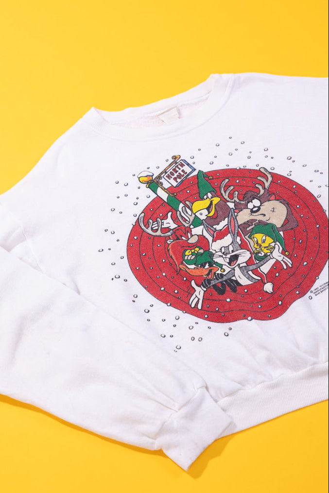 Vintage 1993 Looney Tunes Christmas Crewneck (Kids-M)