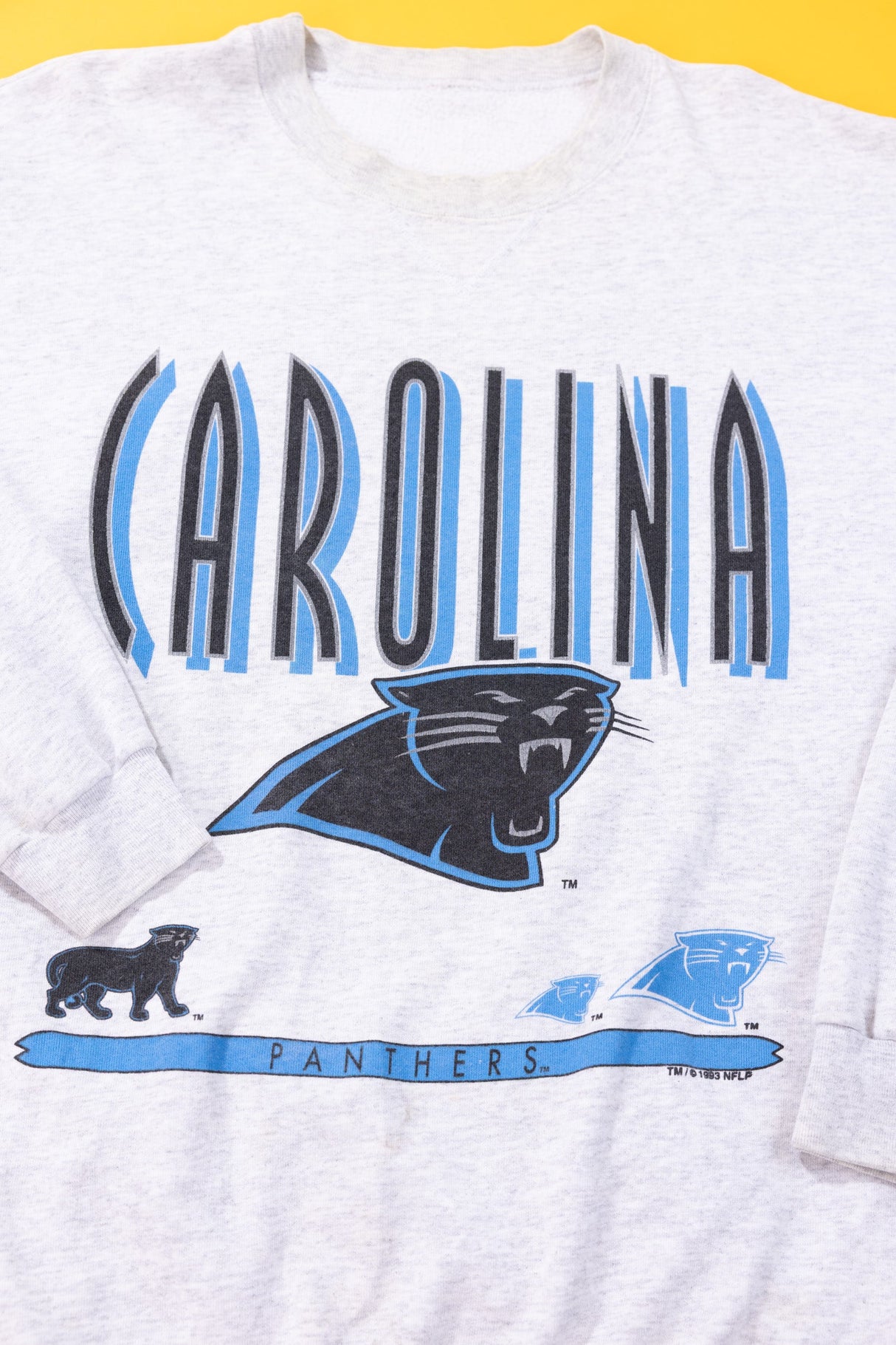 Vintage 1993 Carolina Panthers Crewneck