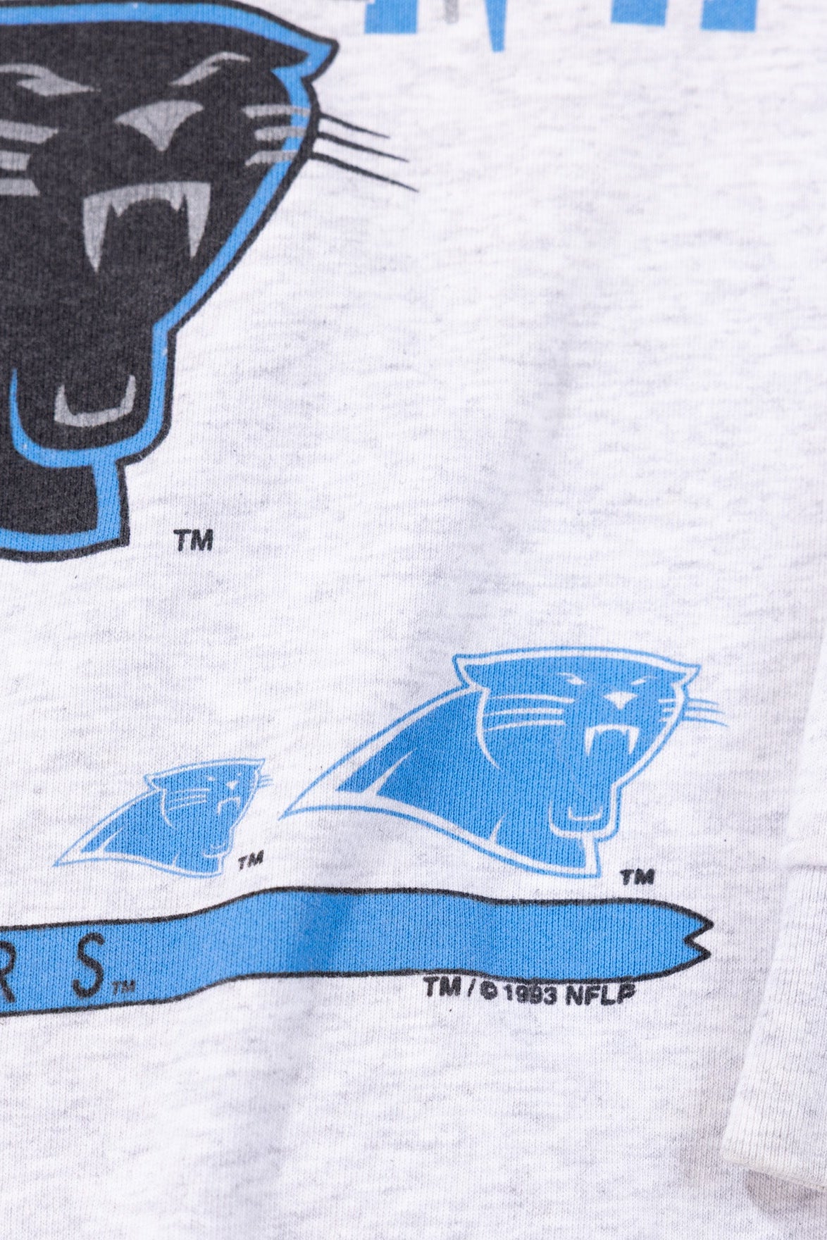 Vintage 1993 Carolina Panthers Crewneck