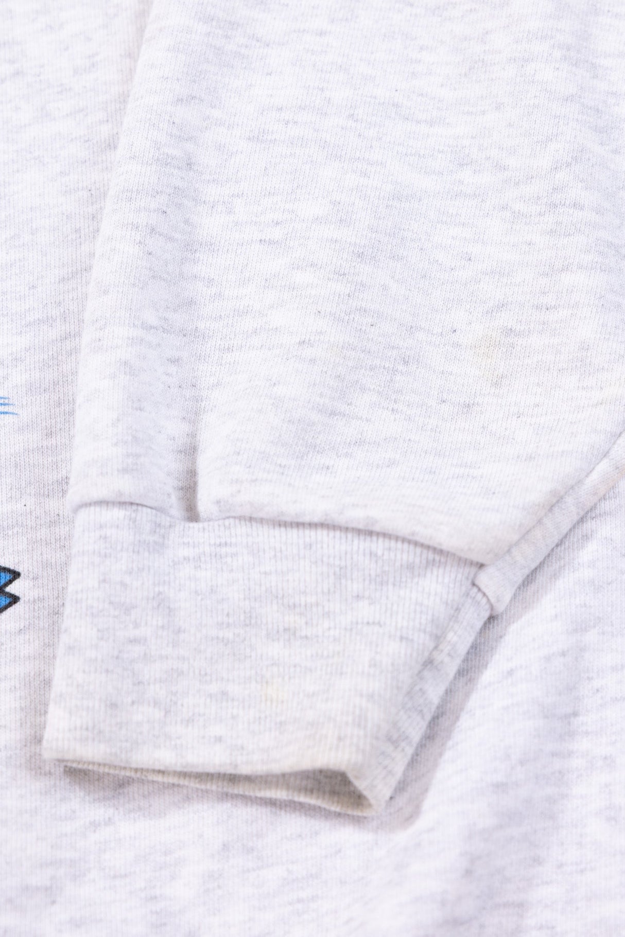 Vintage 1993 Carolina Panthers Crewneck