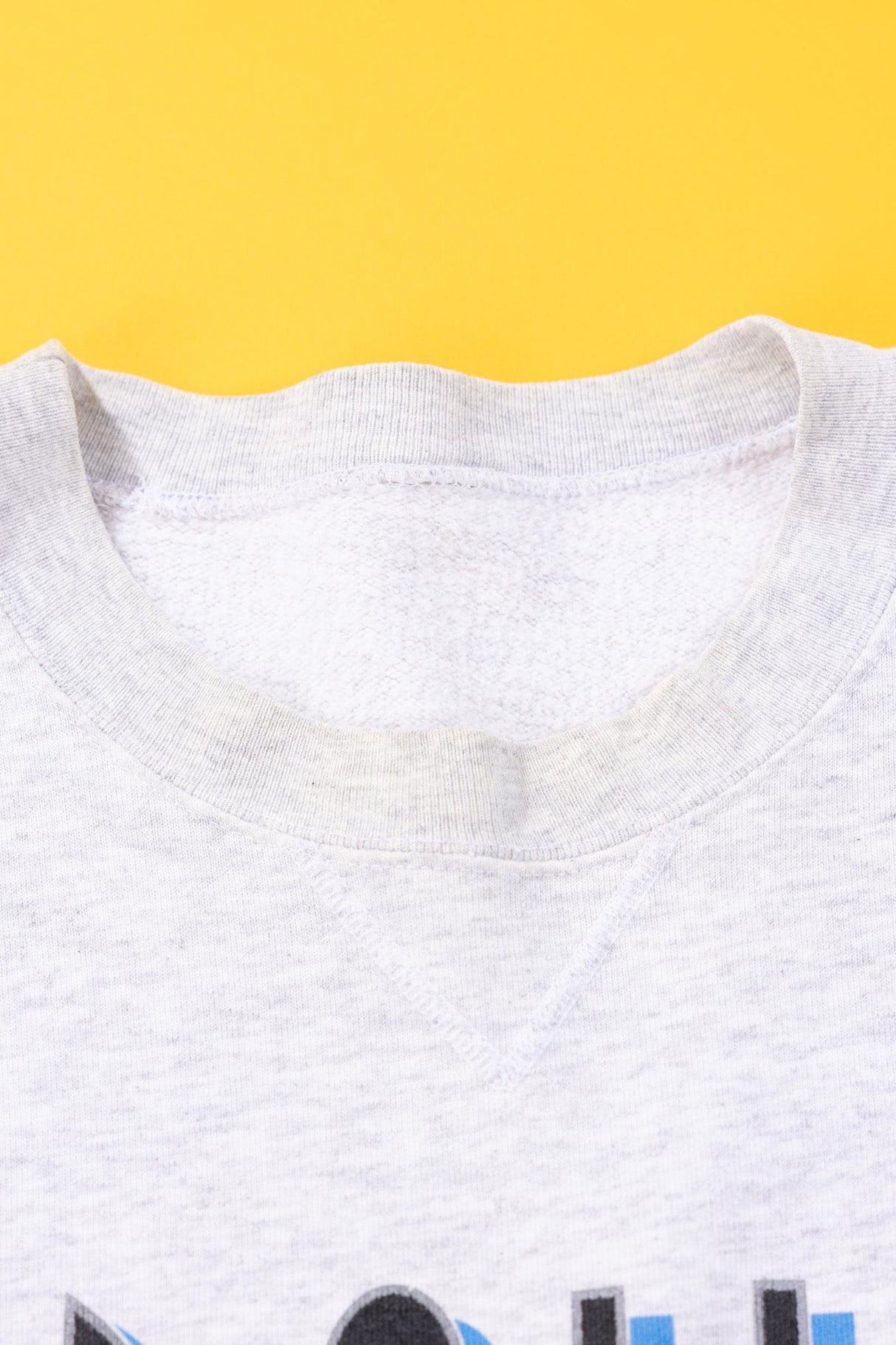 Vintage 1993 Carolina Panthers Crewneck