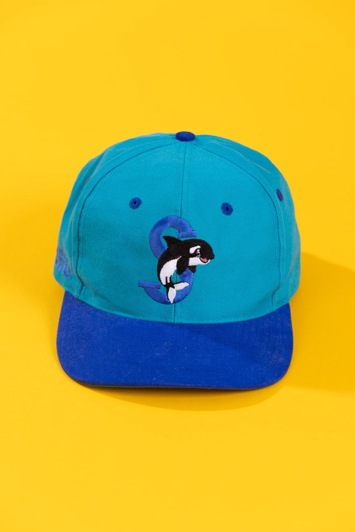 Vintage 90s Seaworld Shamu Extinction is Forever Snapback Hat