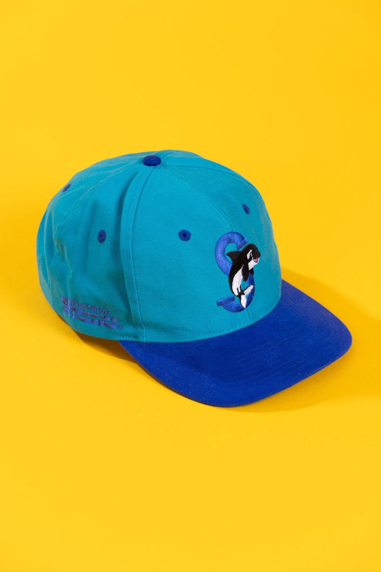 Vintage 90s Seaworld Shamu Extinction is Forever Snapback Hat