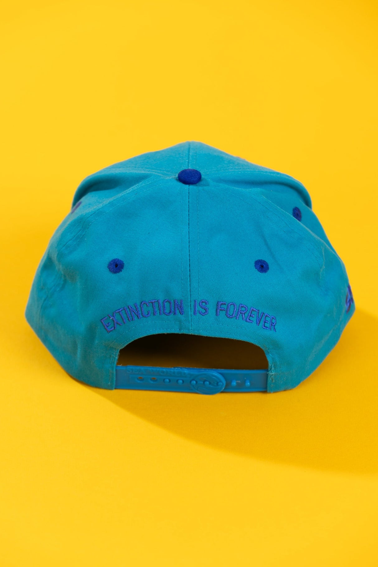 Vintage 90s Seaworld Shamu Extinction is Forever Snapback Hat