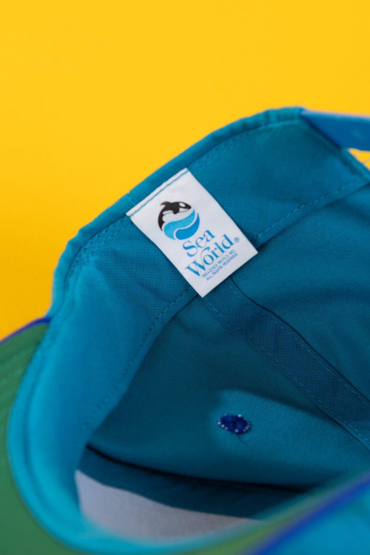 Vintage 90s Seaworld Shamu Extinction is Forever Snapback Hat