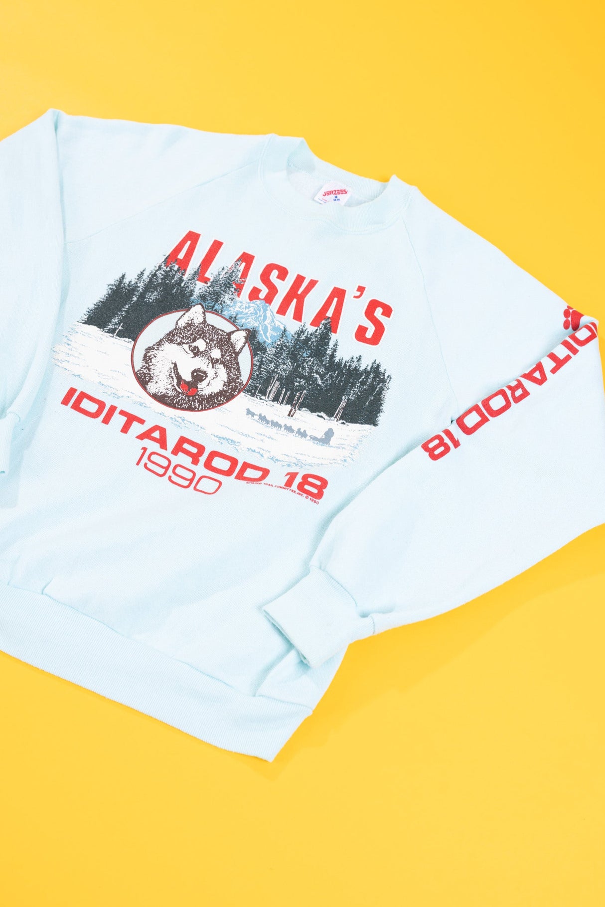 Vintage 1990 Alaska's Iditarod 18 Sled Dog Race Crewneck
