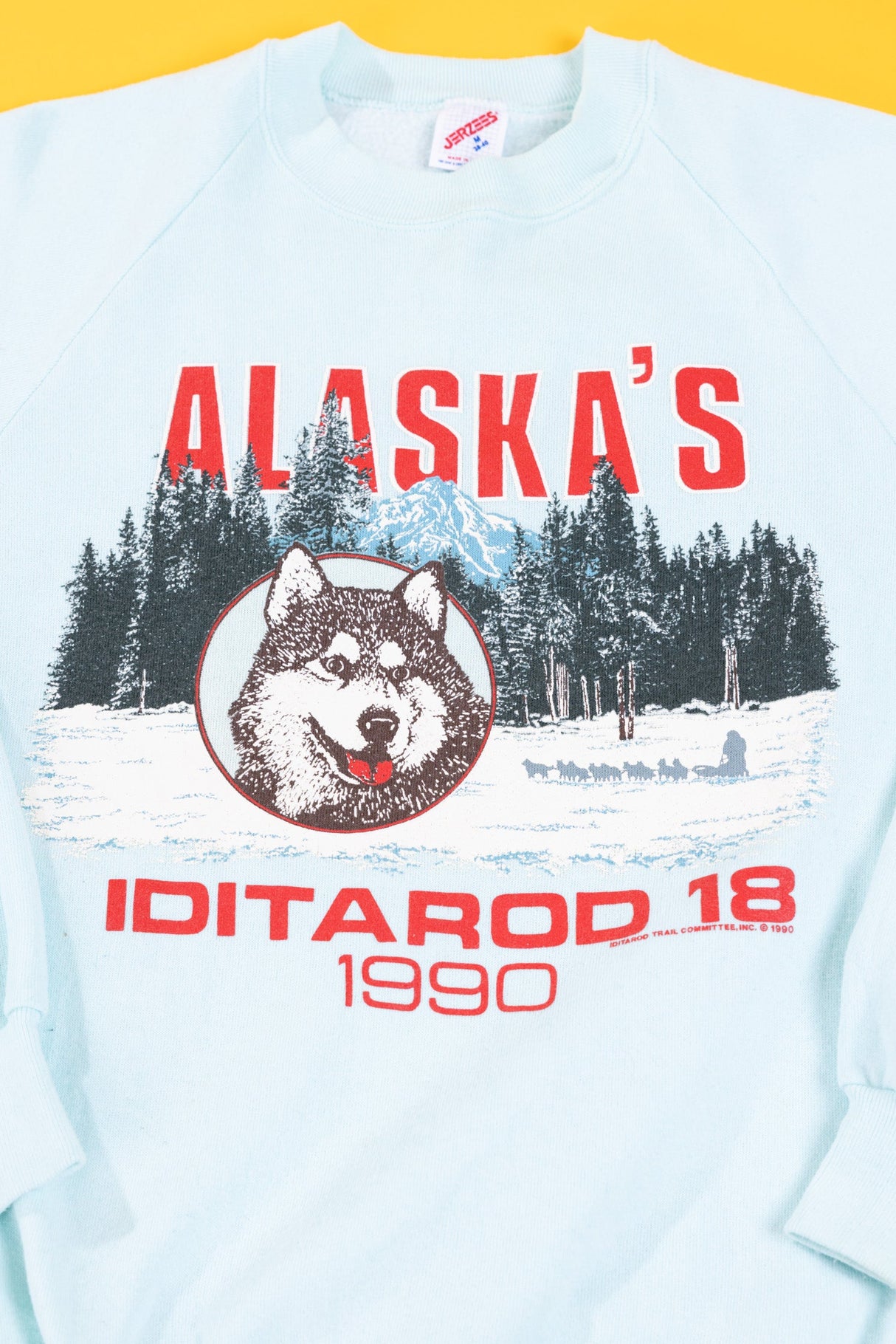 Vintage 1990 Alaska's Iditarod 18 Sled Dog Race Crewneck