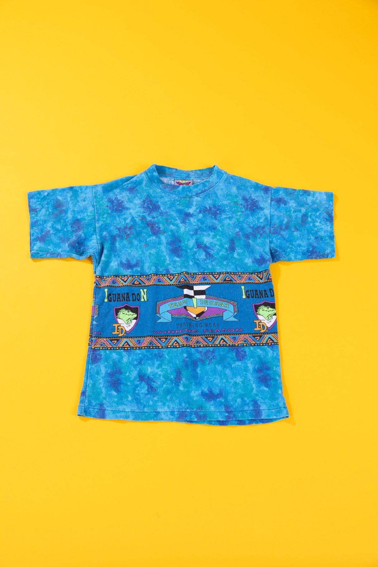 Vintage 90s Iguana Don Tie-dye T-shirt (Youth M)