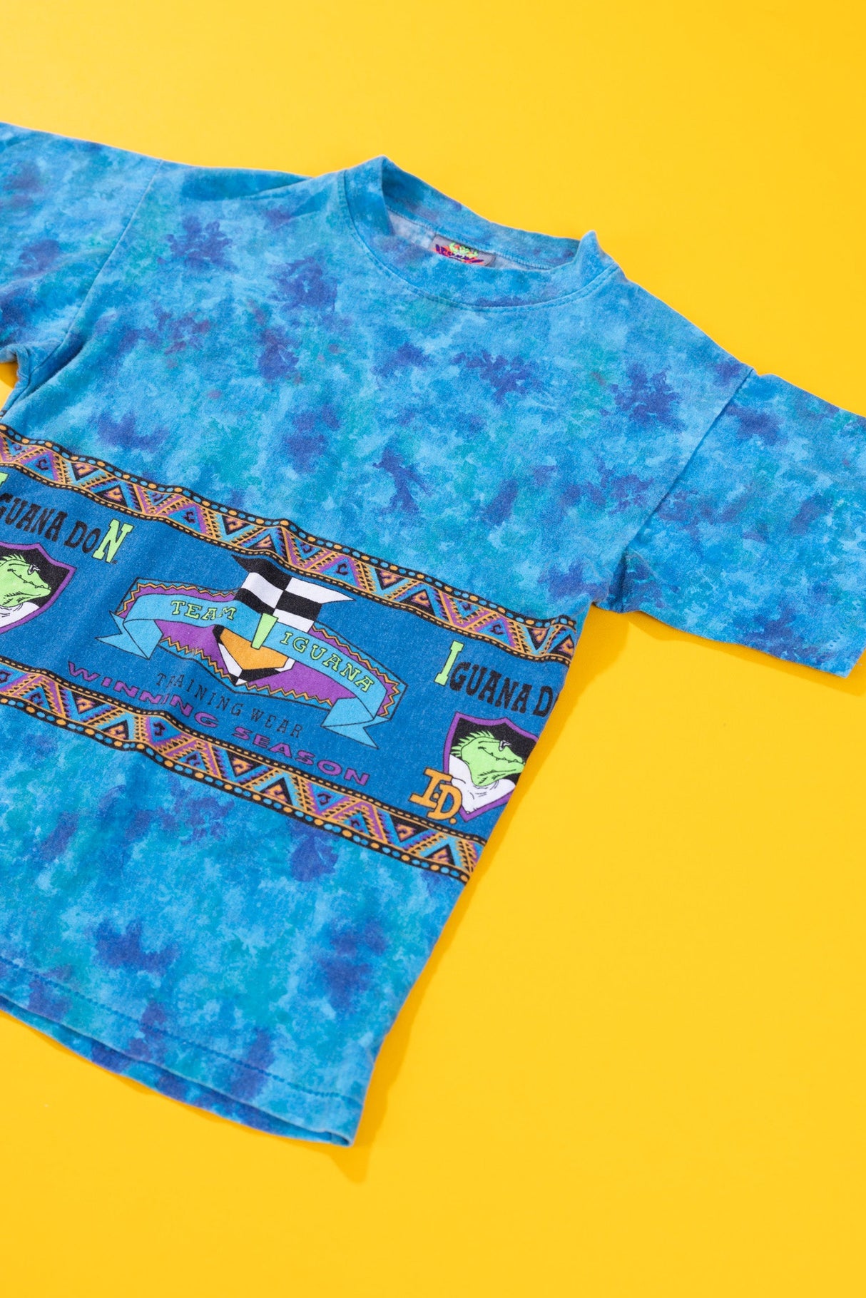 Vintage 90s Iguana Don Tie-dye T-shirt (Youth M)