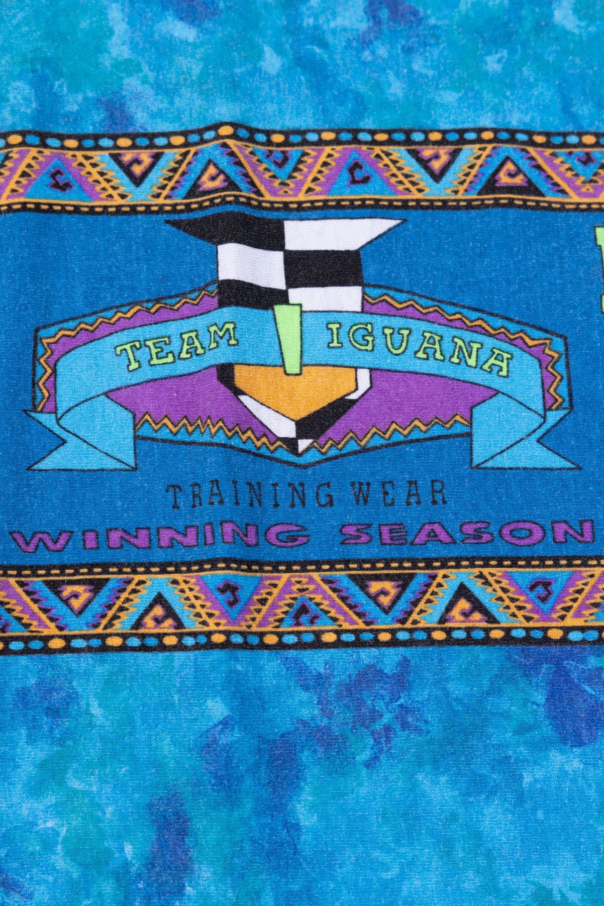 Vintage 90s Iguana Don Tie-dye T-shirt (Youth M)