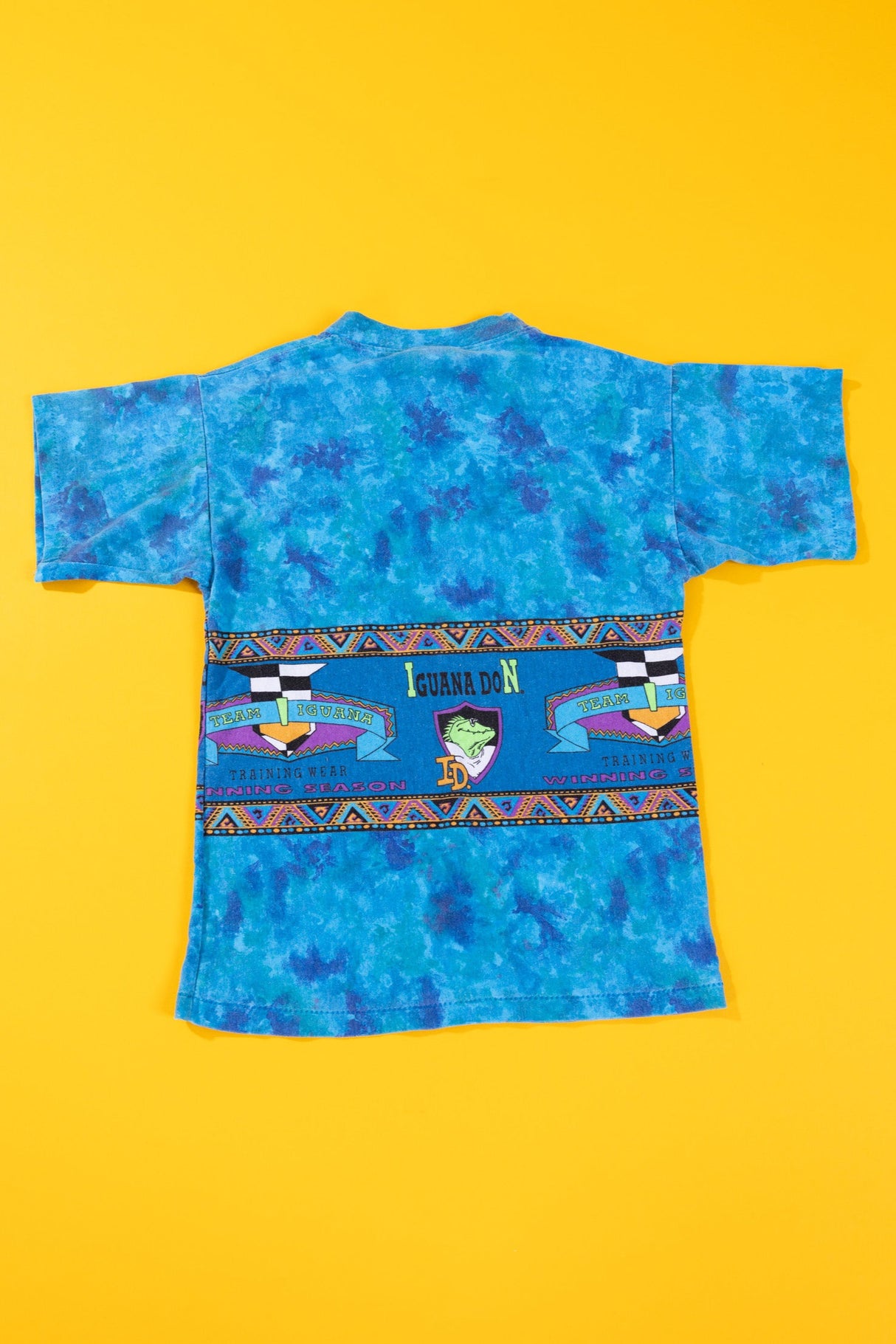 Vintage 90s Iguana Don Tie-dye T-shirt (Youth M)