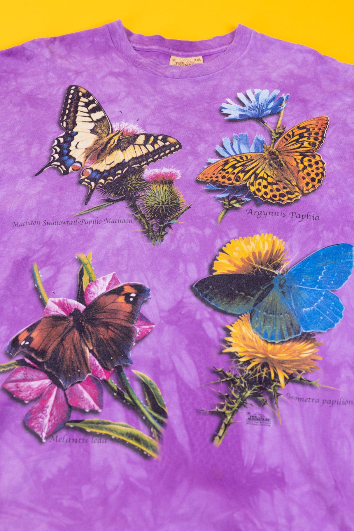 Vintage 2001 The Mountain Butterfly Tie-dye T-shirt