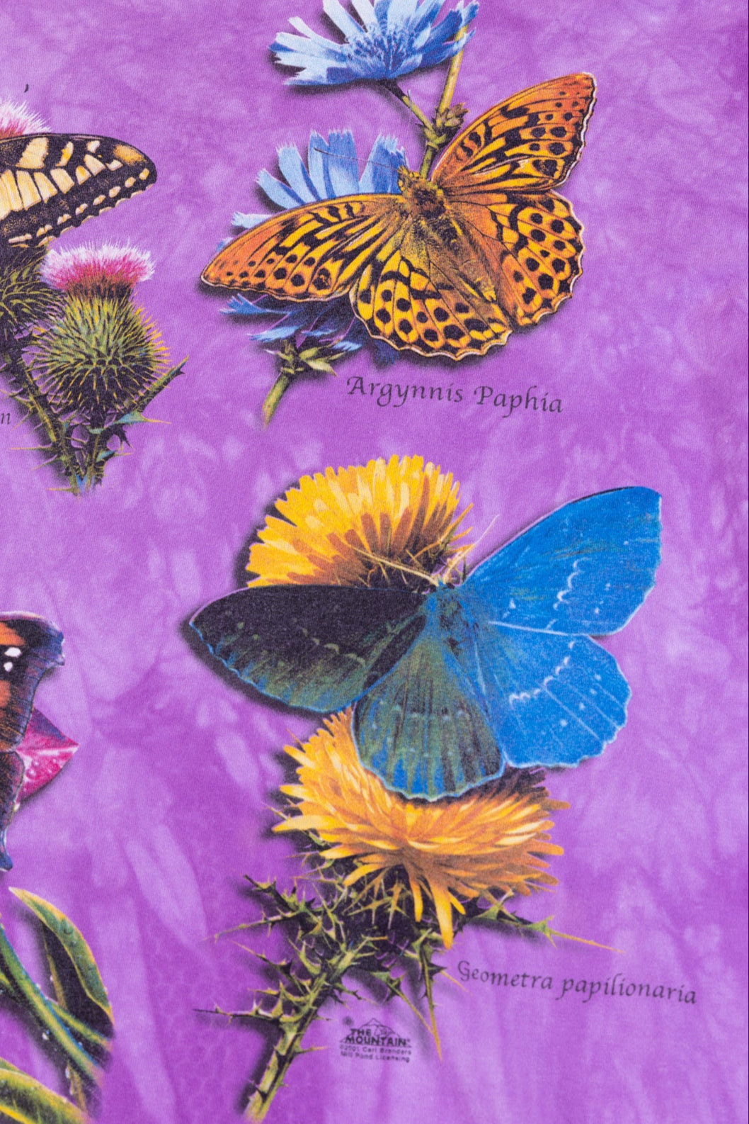 Vintage 2001 The Mountain Butterfly Tie-dye T-shirt