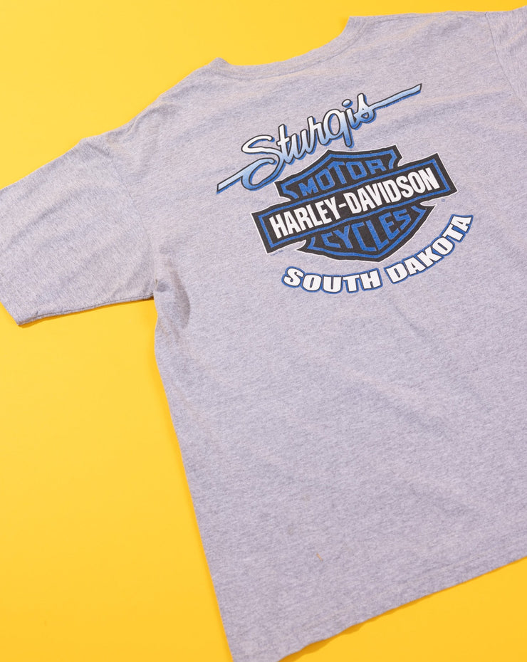 Vintage 2000 Harley Davidson Sturgis South Dakota Black Hills Rally T-shirt