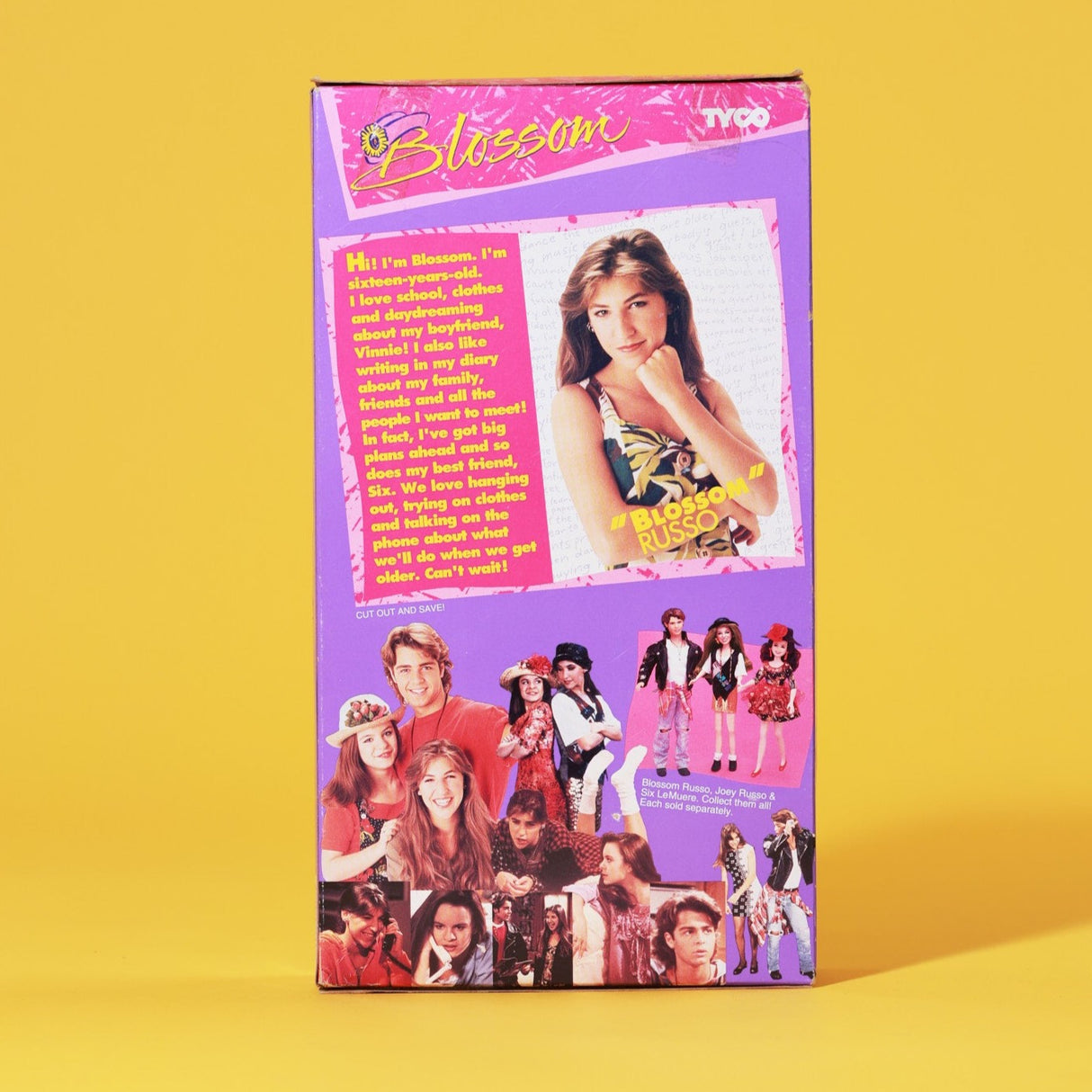 Vintage 1993 Blossom Doll Set (Blossom, Joey and Six)