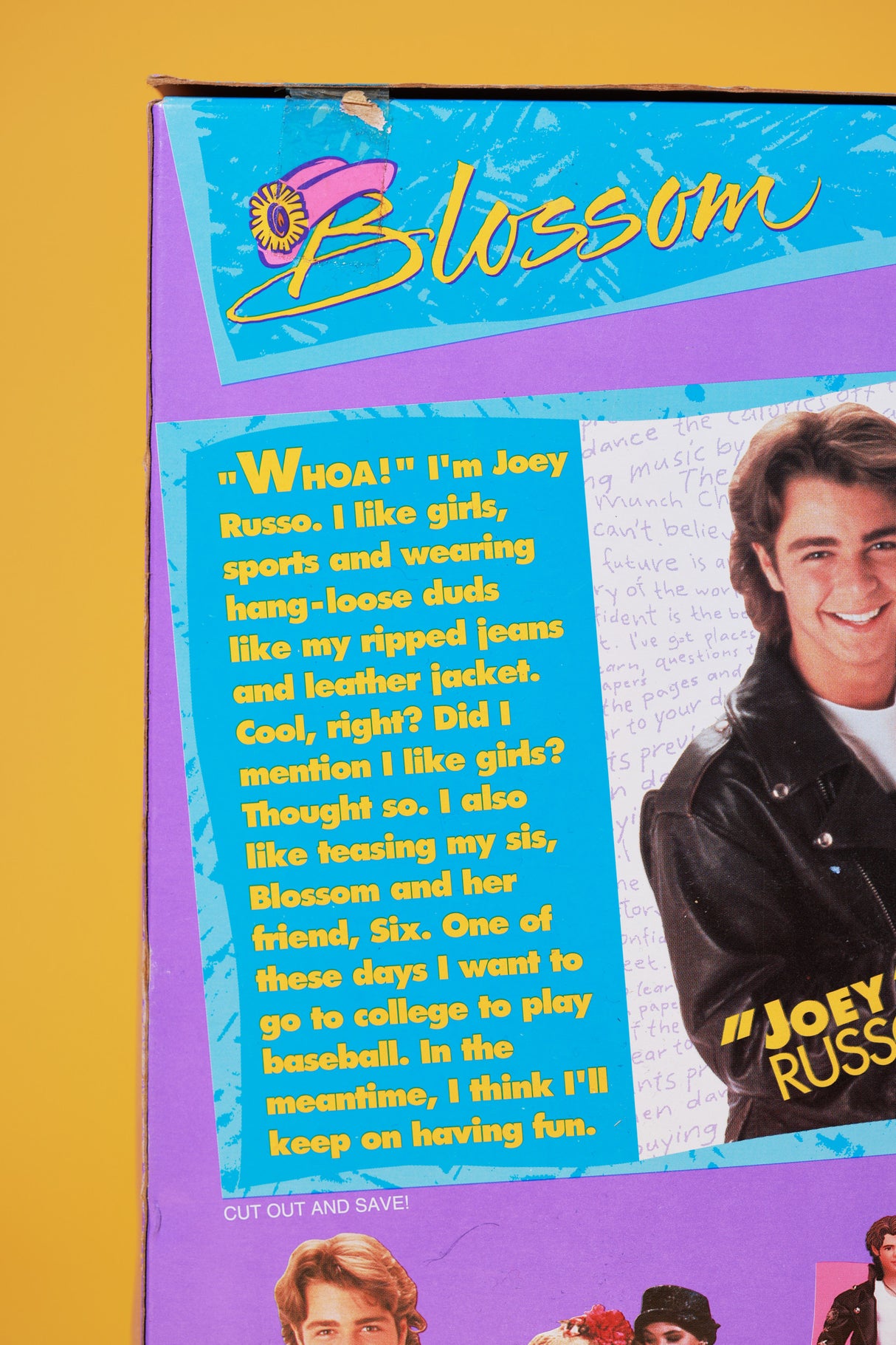 Vintage 1993 Blossom Doll Set (Blossom, Joey and Six)