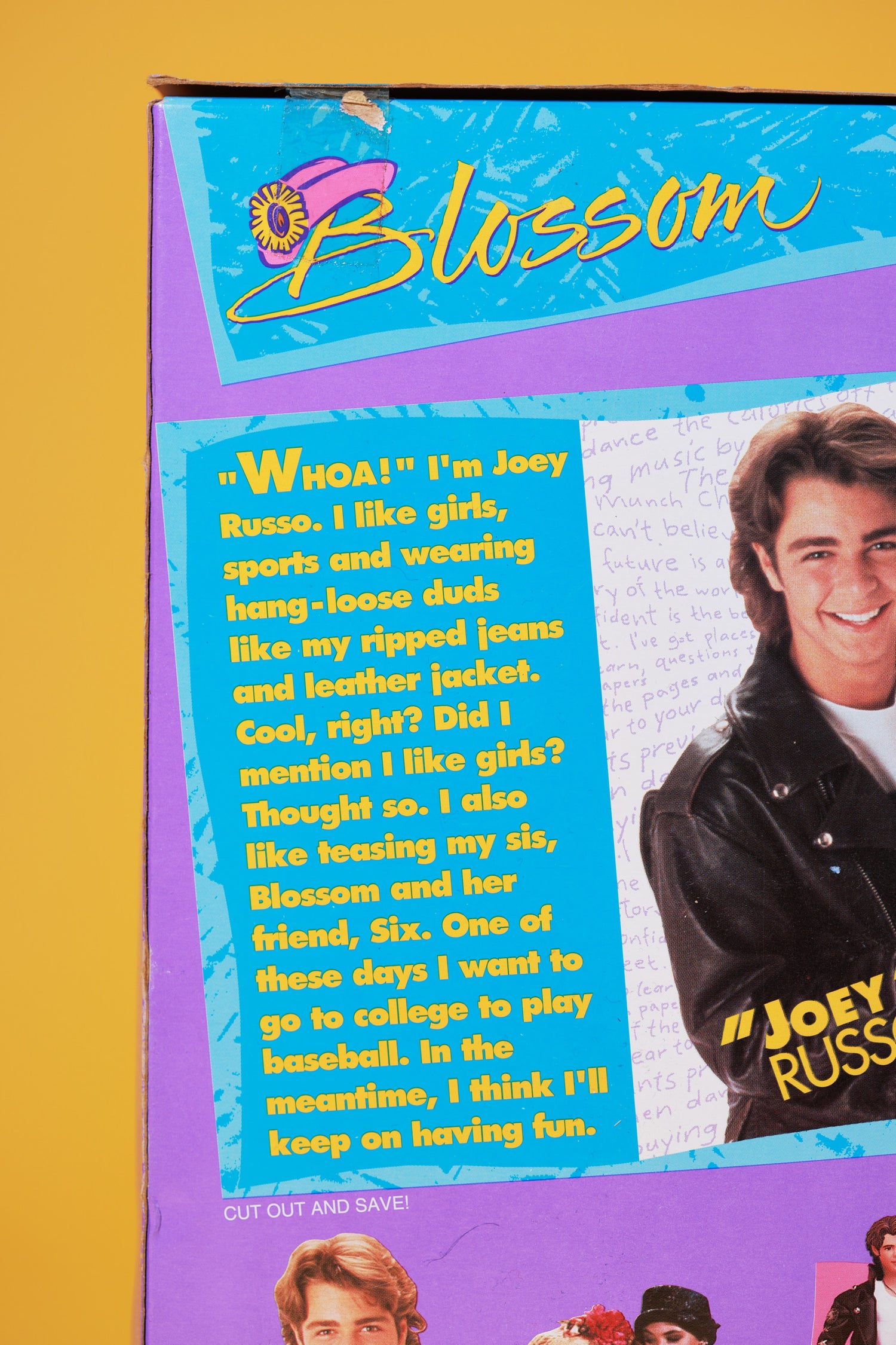 Vintage 1993 Blossom Doll Set (Blossom, Joey and Six)