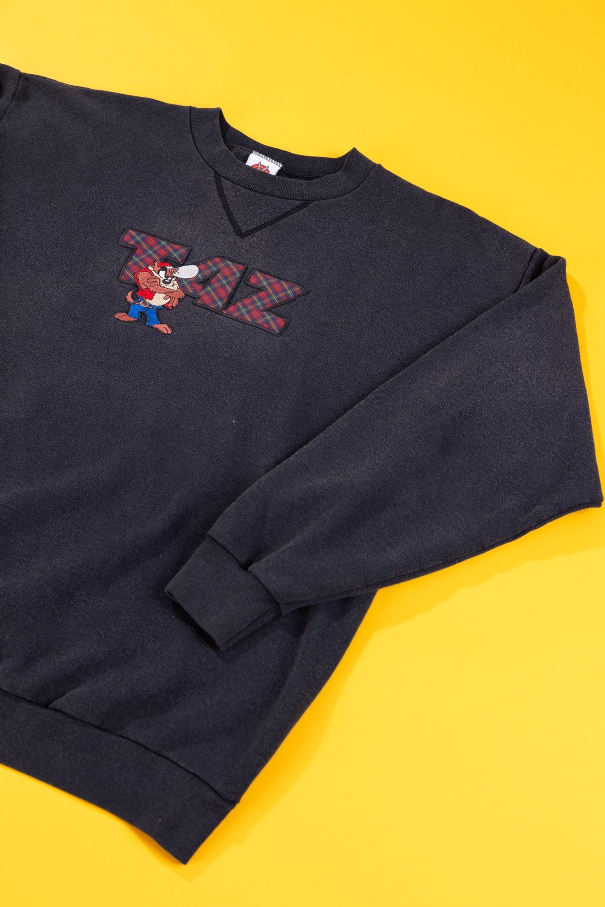 Vintage 1997 Taz Looney Tunes Crewneck Sweater