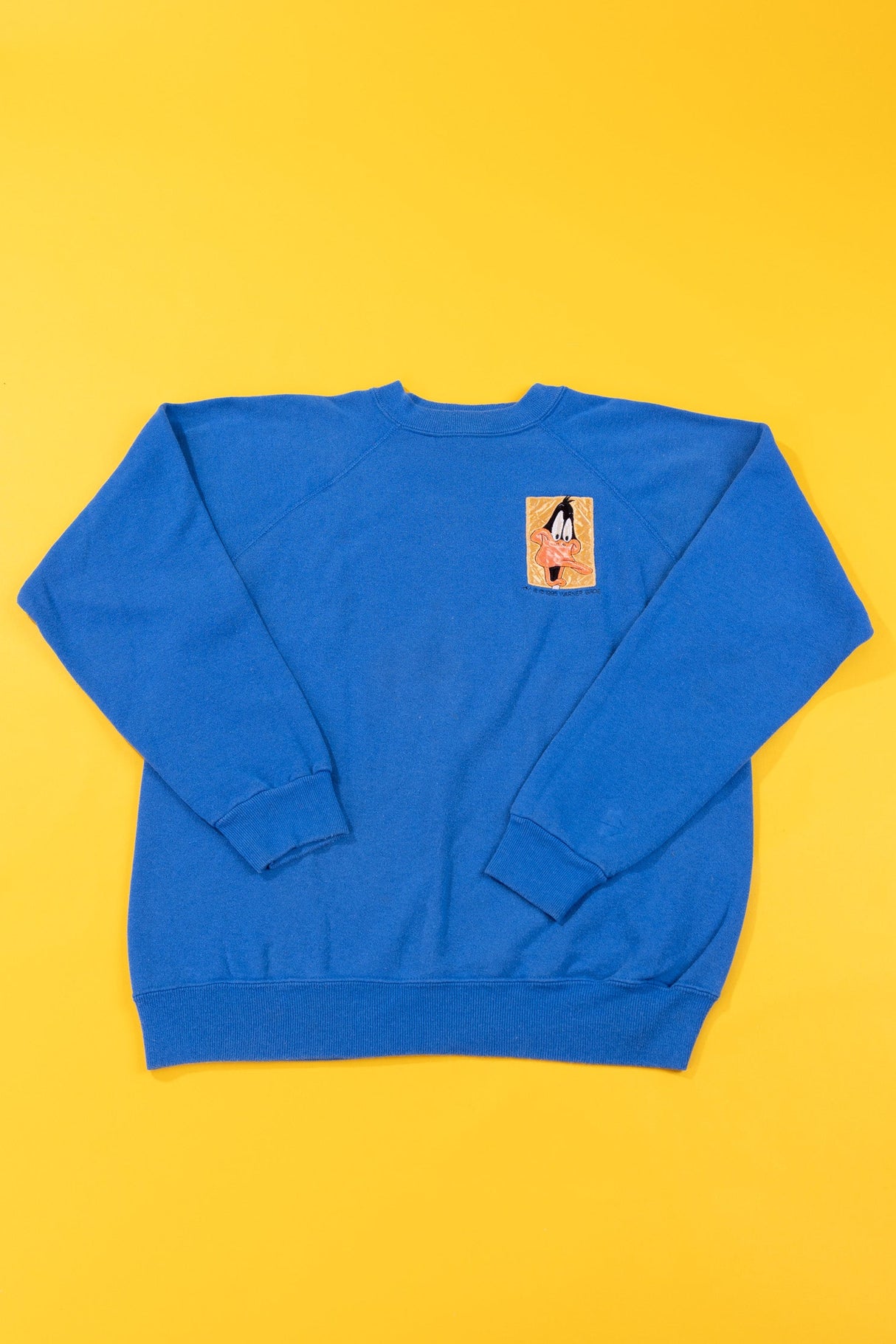Vintage 1995 Warner Bros Daffy Duck Crewneck Sweater