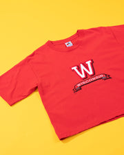 Vintage 90s Wisconsin Badgers Crop Top