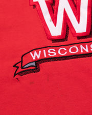 Vintage 90s Wisconsin Badgers Crop Top