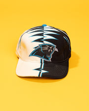 Rare Vintage 90s/early Y2K Starter Carolina Panthers Strapback Hat