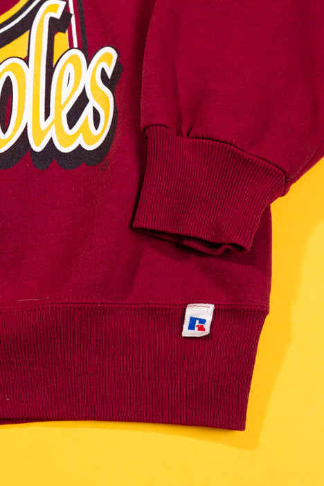Vintage 90s Florida State Seminoles Crewneck