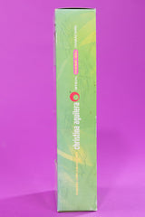 Vintage 1999 Christina Aguilera Fashion Doll