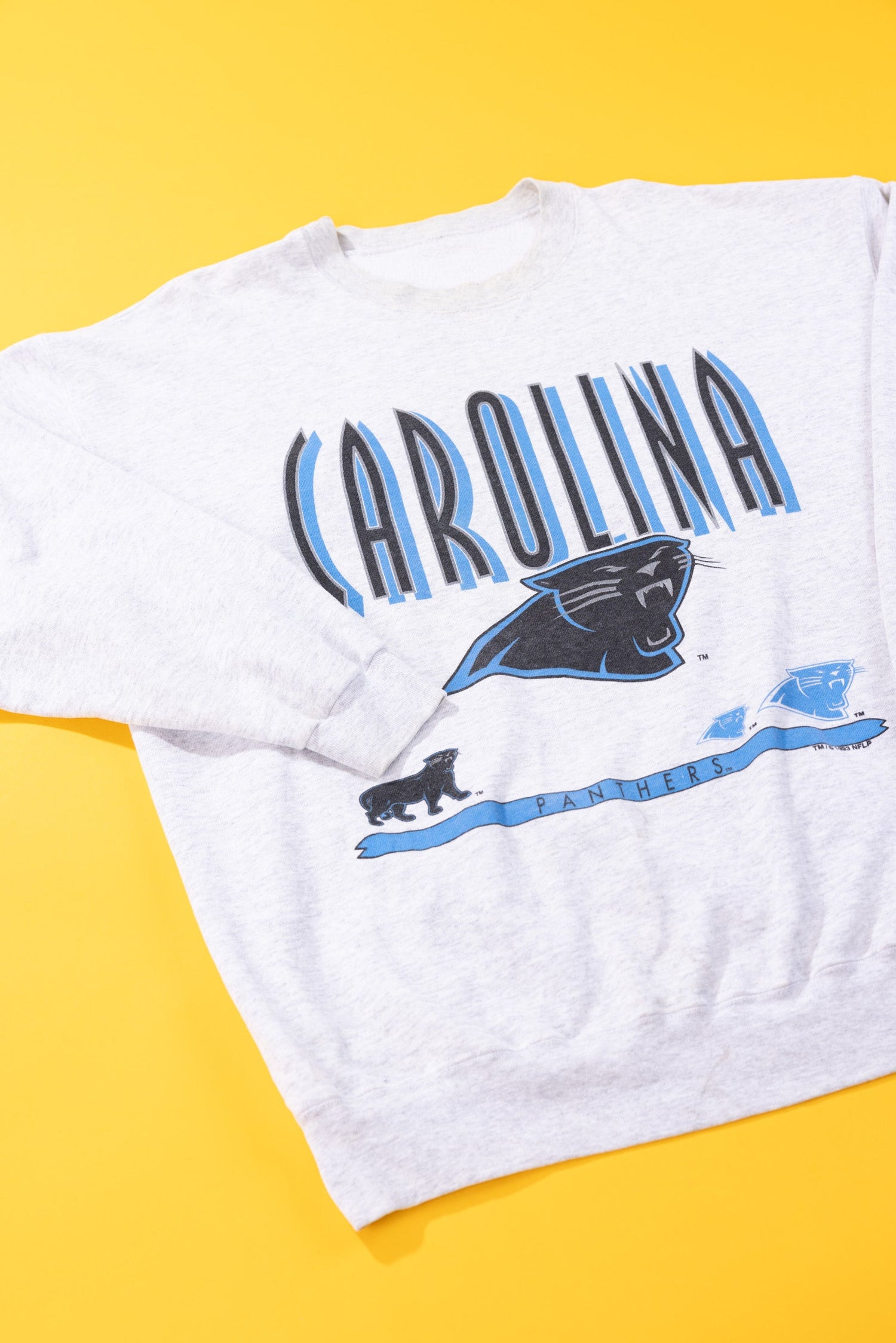 Vintage 1993 Carolina Panthers Crewneck