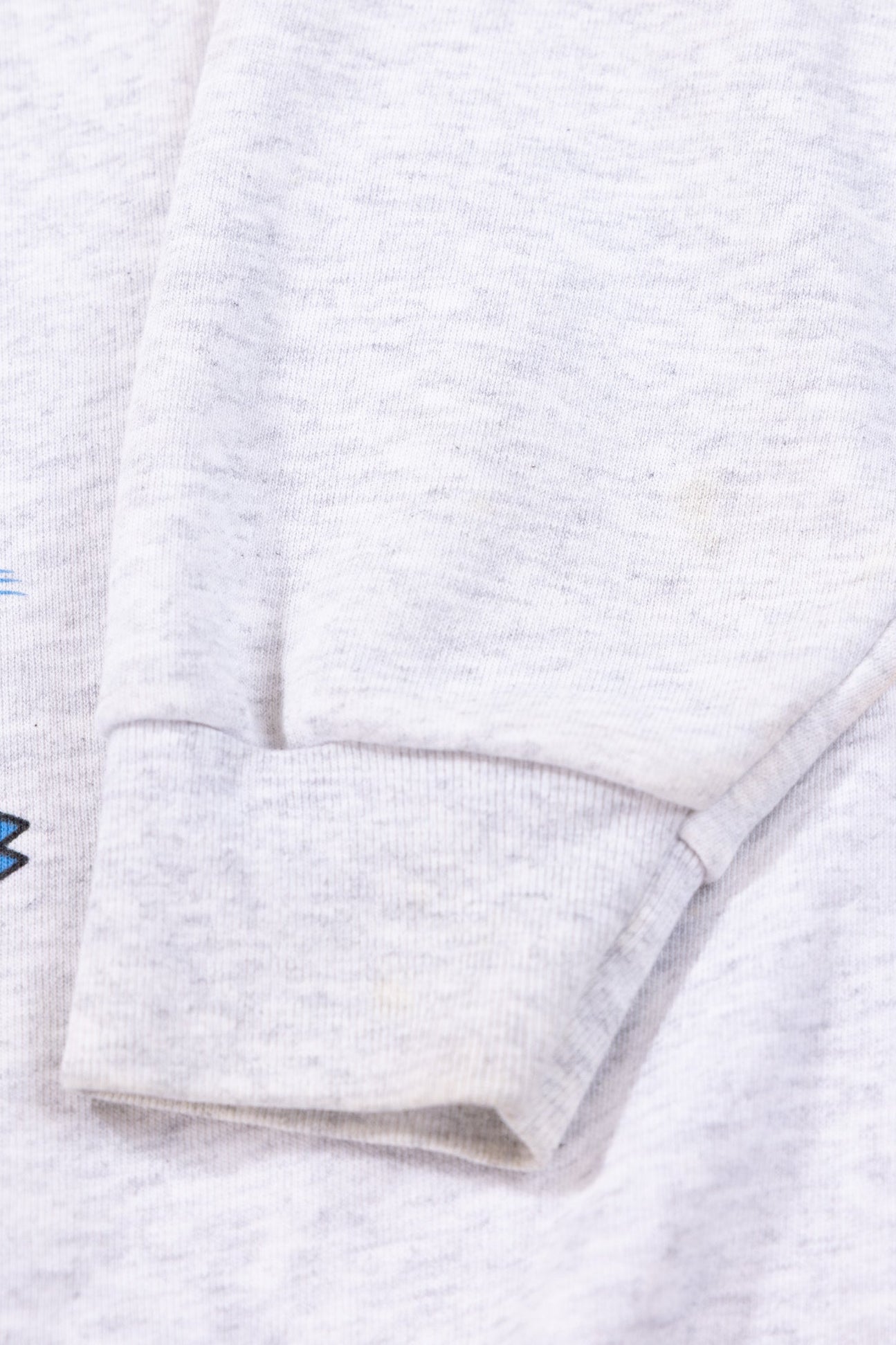 Vintage 1993 Carolina Panthers Crewneck