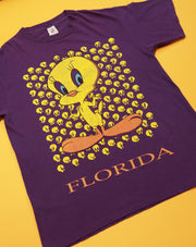 Vintage 1995 Tweety Bird Florida T-shirt