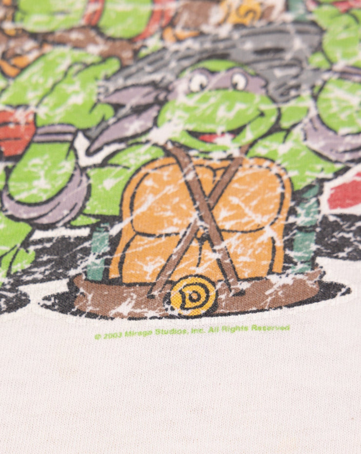Vintage 2003 Teenage Mutant Ninja Turtles Ringer T-shirt