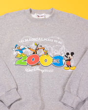 Vintage 2003 Walt Disney World Character Crewneck Sweater