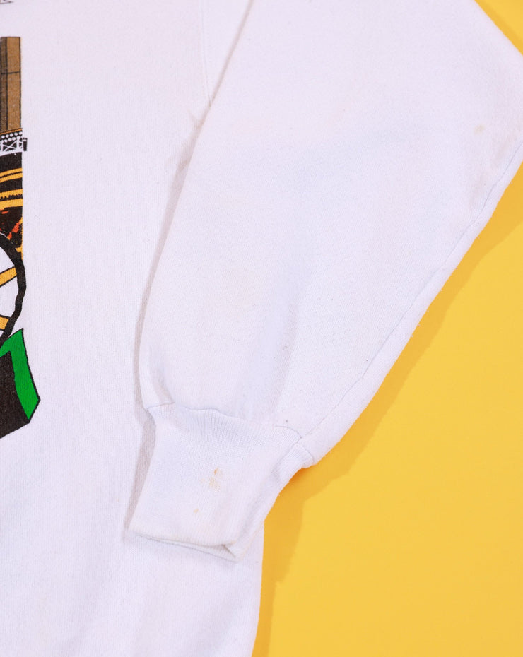 Rare Vintage 1995 Boston Garden Celtics Bruins Crewneck Sweater