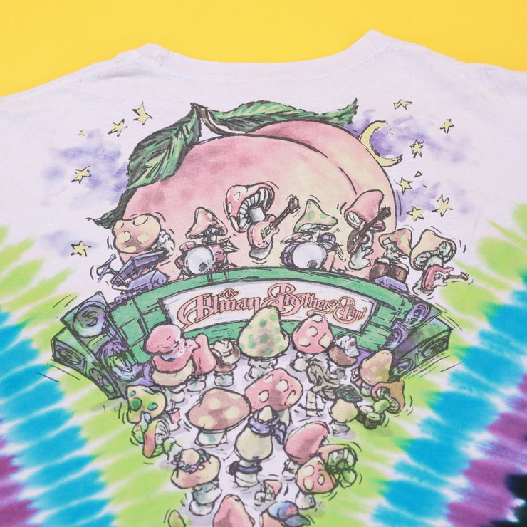 Vintage 1997 The Alman Brothers Band Mushroom Express T-shirt